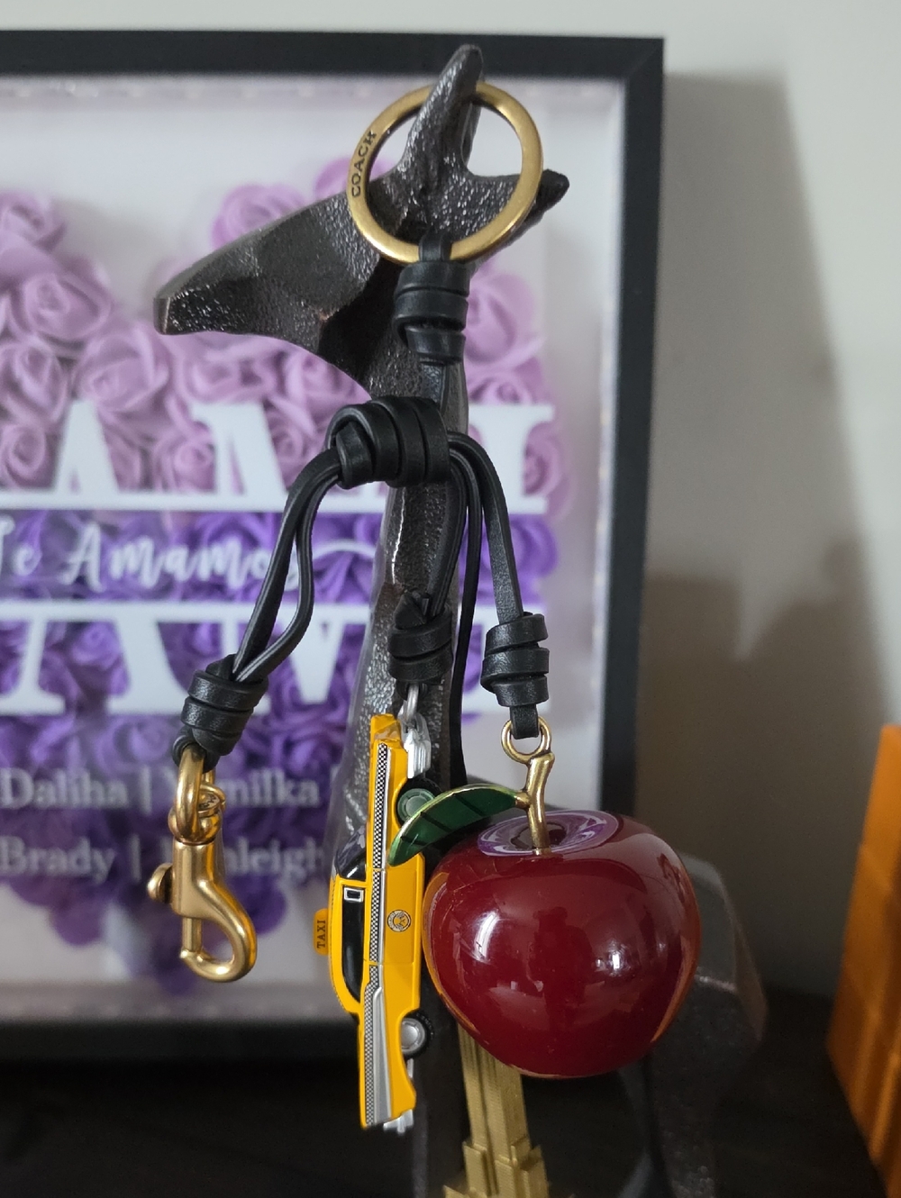 Small New York Cluster Bag Charm Coach